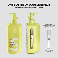 Oil Control and Anti-Hair Loss Shampoo