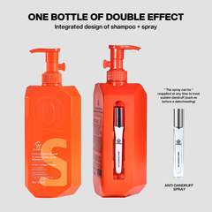 Lock-colored Hair and Protecting Hair Color  Shampoo