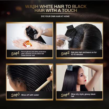 Argan Oil Black Hair Dye Shampoo